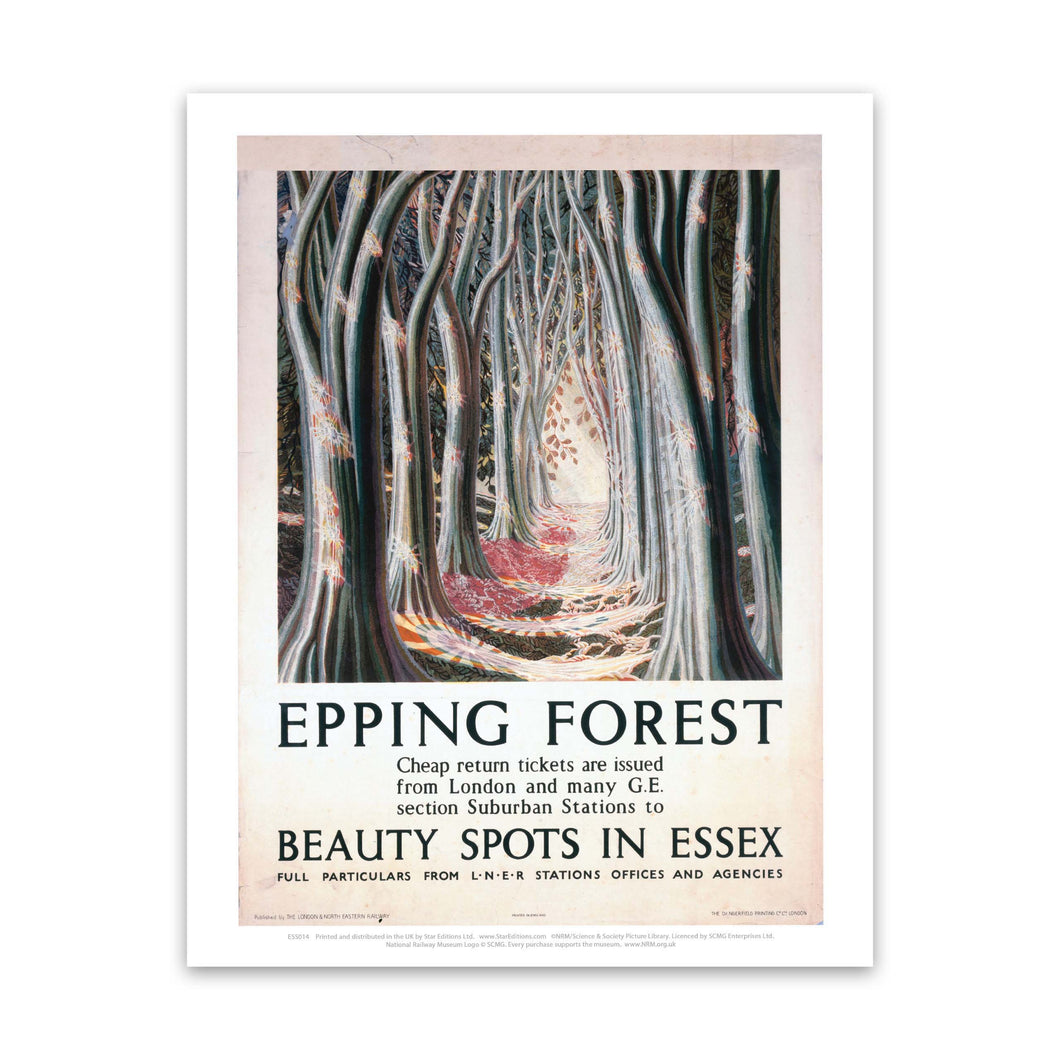Epping Forest Beauty Spots in Essex Art Print