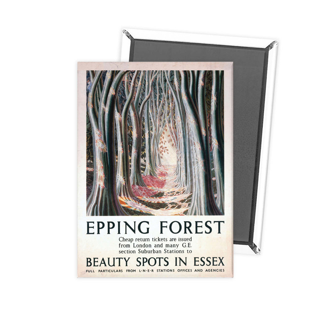 Epping Forest Beauty Spots in Essex Fridge Magnet
