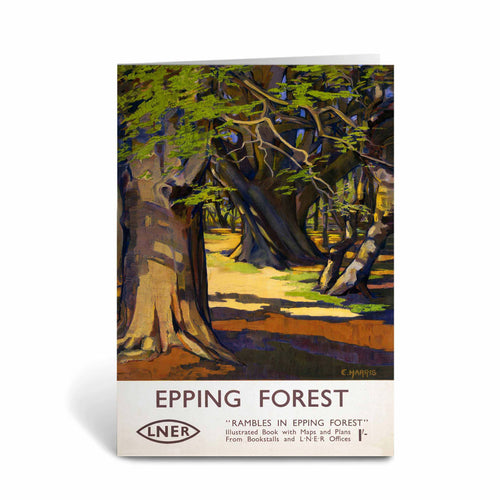 Rambles in Epping Forest Greeting Card