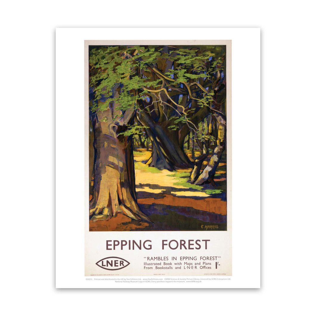 Rambles in Epping Forest Art Print