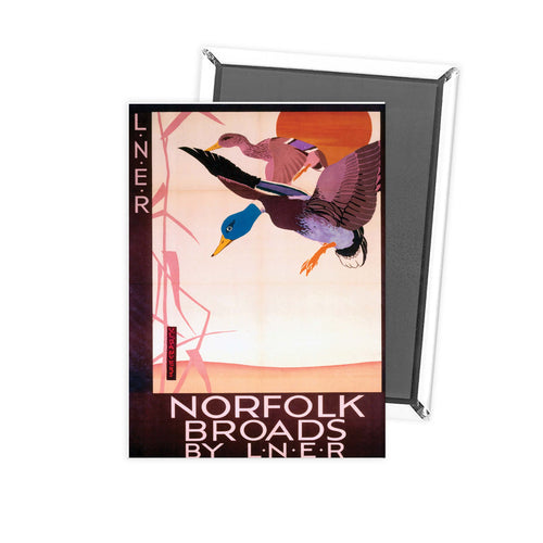 Norfolk Broads Ducks Fridge Magnet