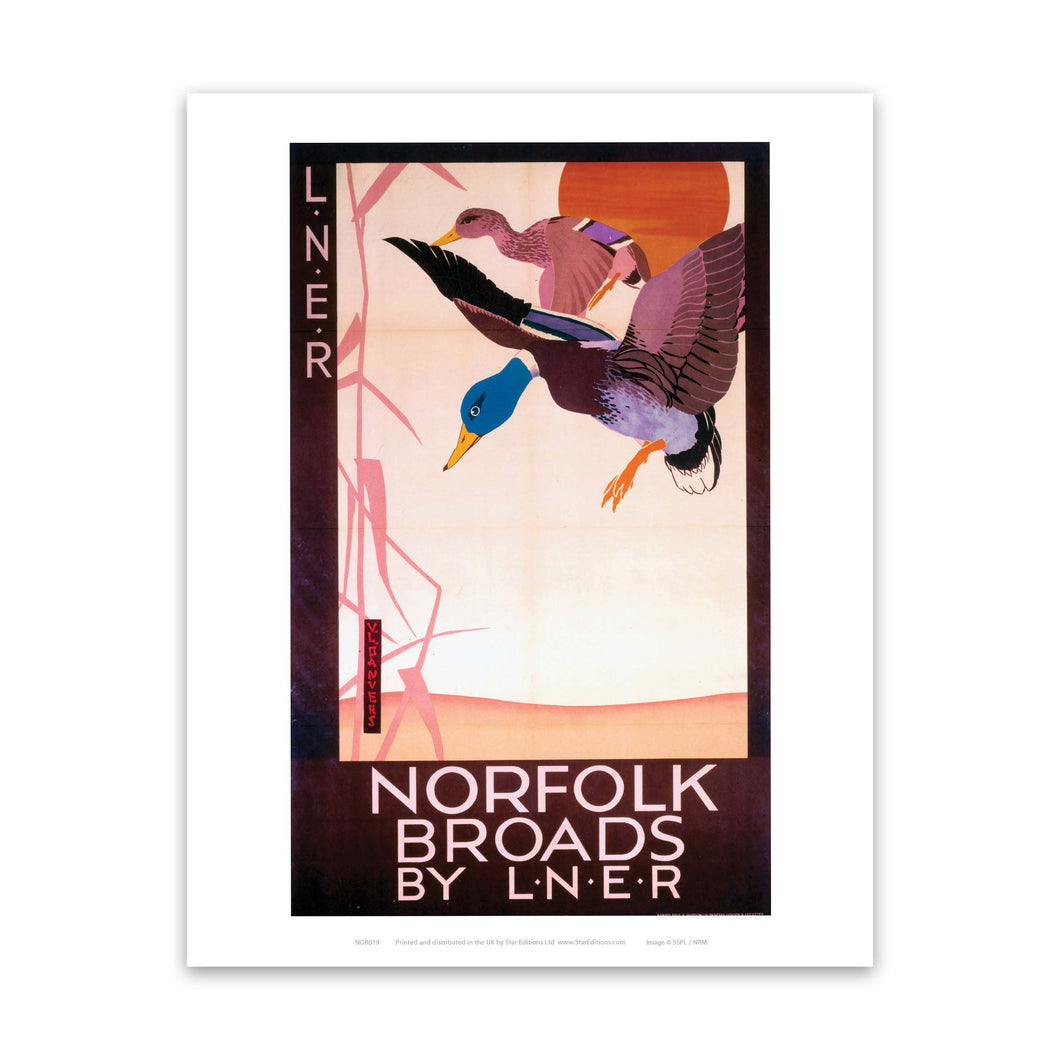 Norfolk Broads Ducks Art Print