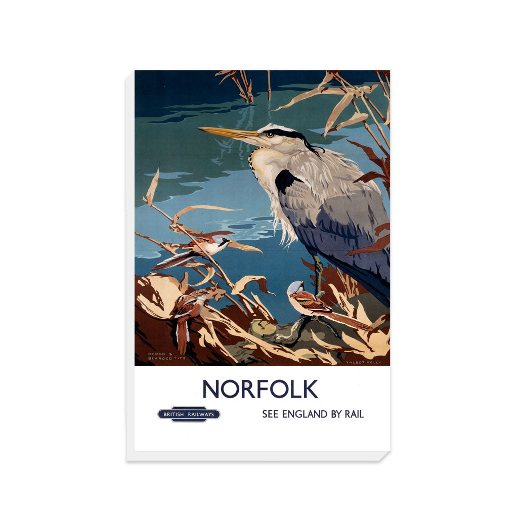 Norfolk Heron - Canvas