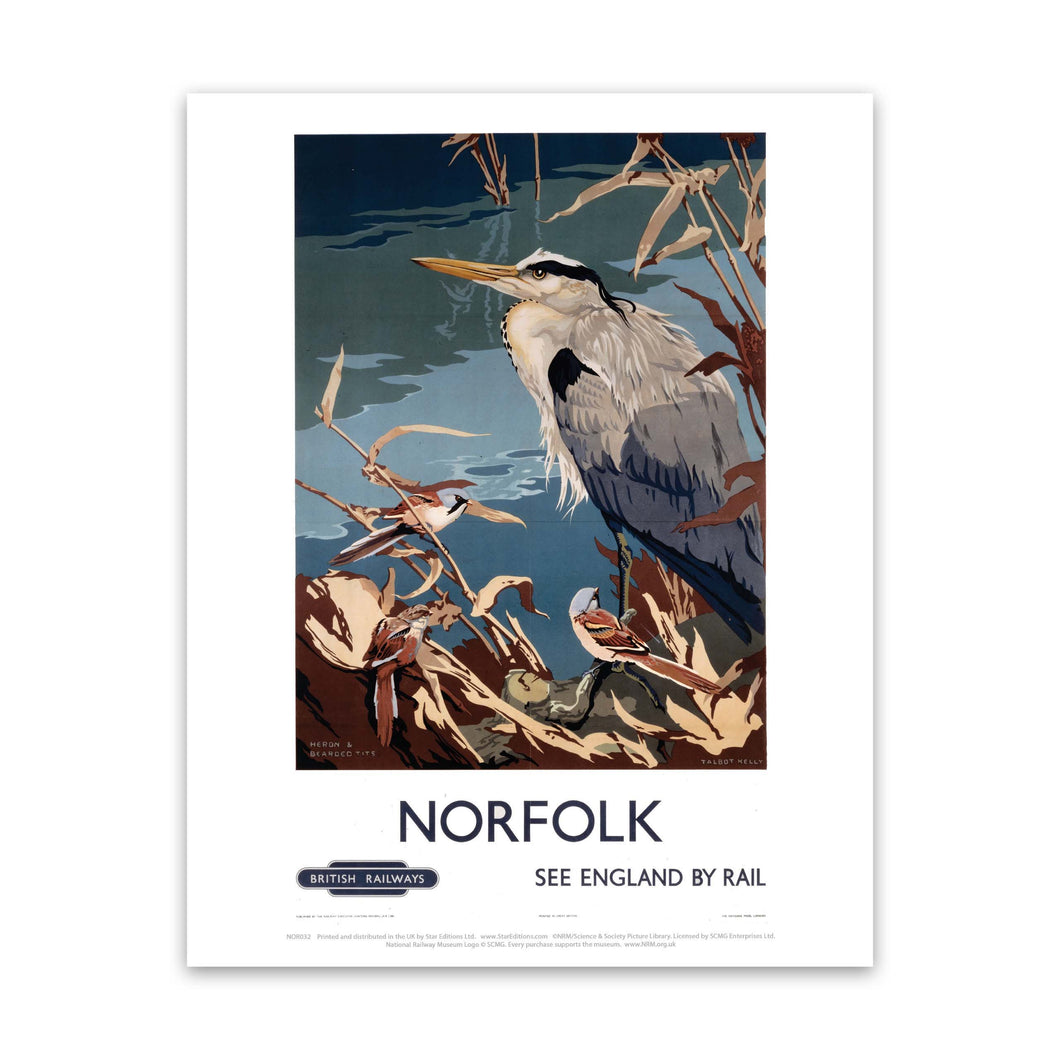 Norfolk Heron Art Print