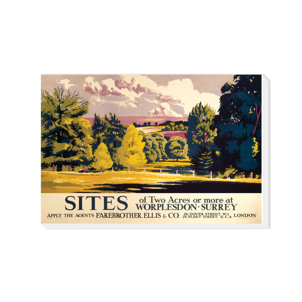 Worplesdon Surrey - Canvas