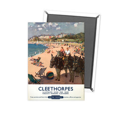 Cleethorpes - Donkey Magnet