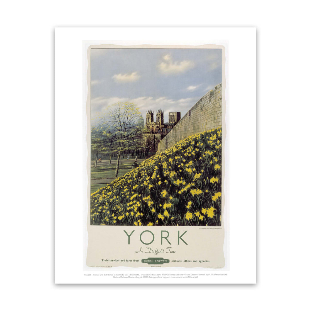 York, Yellow Flowers Art Print