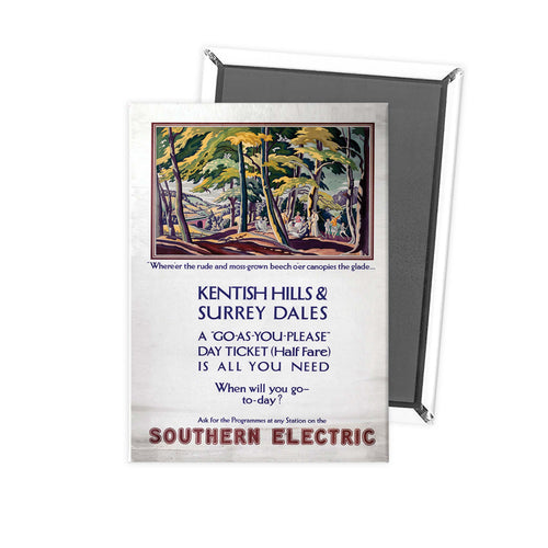southern electric Fridge Magnet