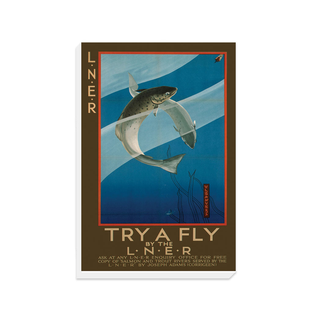 Try a Fly - Canvas