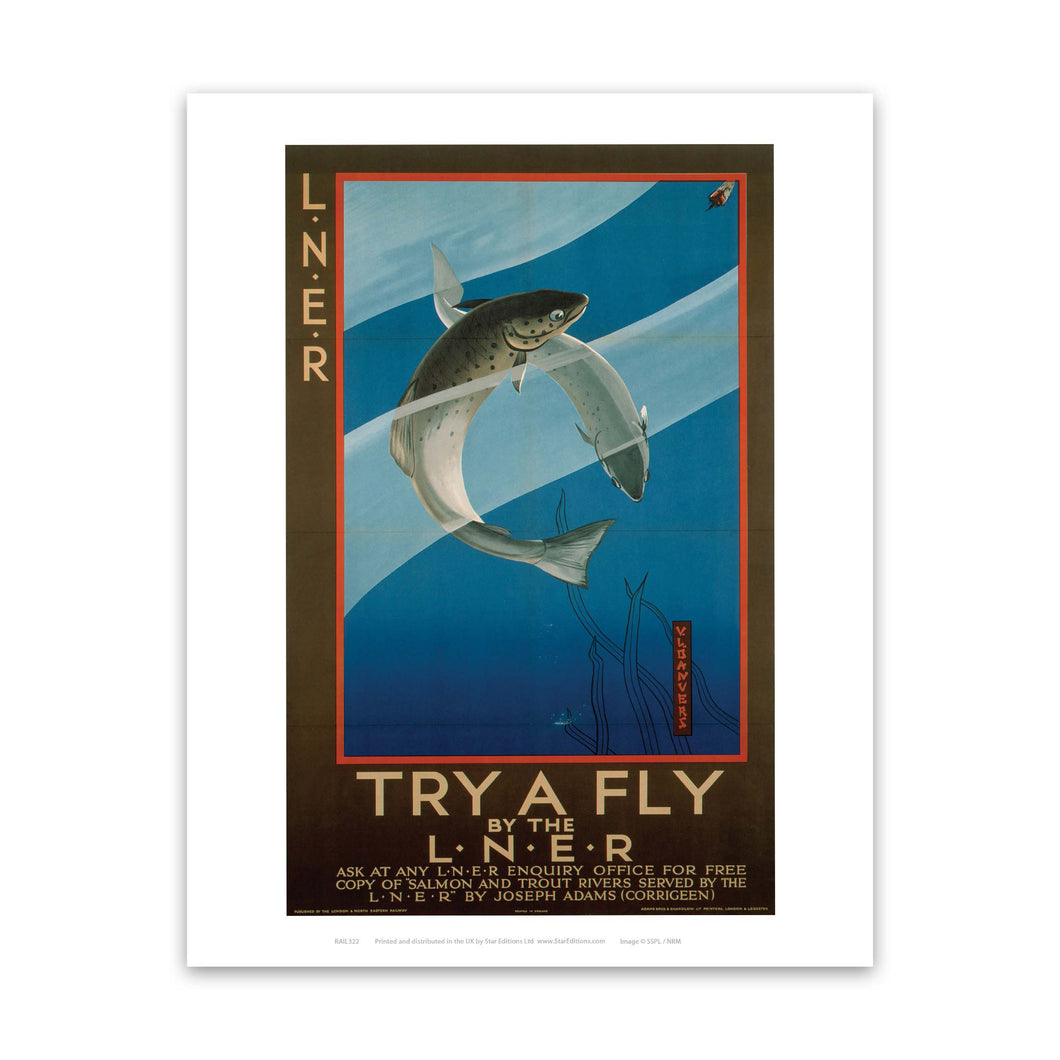 Try a Fly Art Print