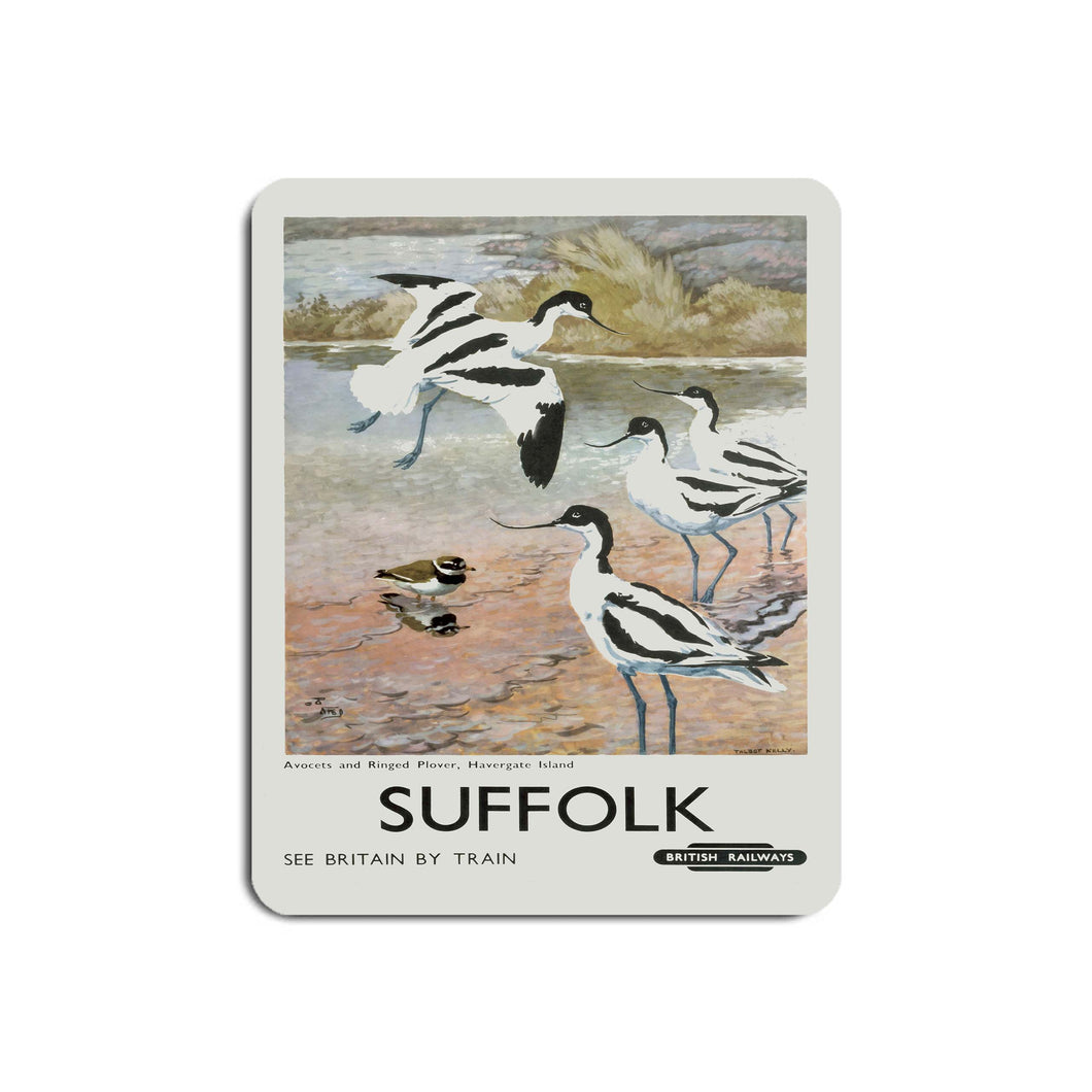 Suffolk - Avocets, Havergate Island - Mouse Mat